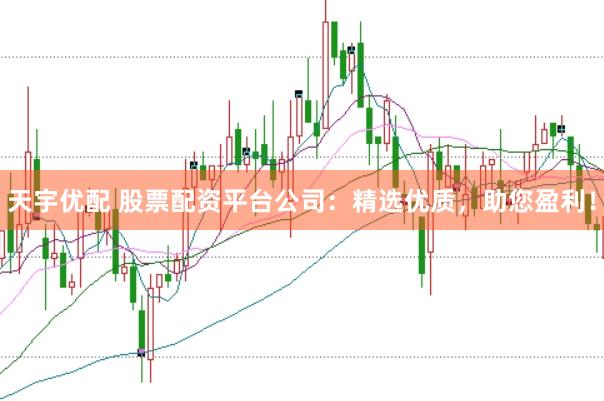 天宇优配 股票配资平台公司:精选优质,助您盈利!