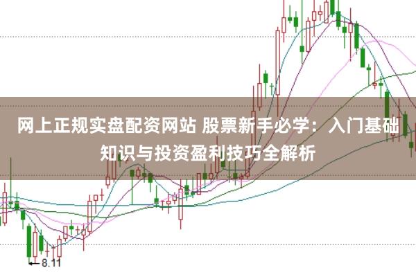 网上正规实盘配资网站 股票新手必学：入门基础知识与投资盈利技巧全解析
